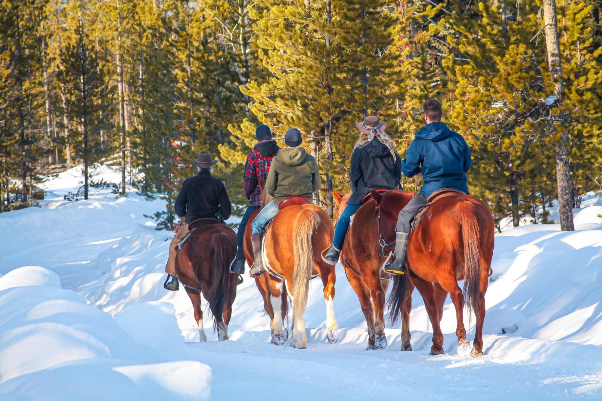 Red Cariboo Resort Anahim Lake エクステリア 写真