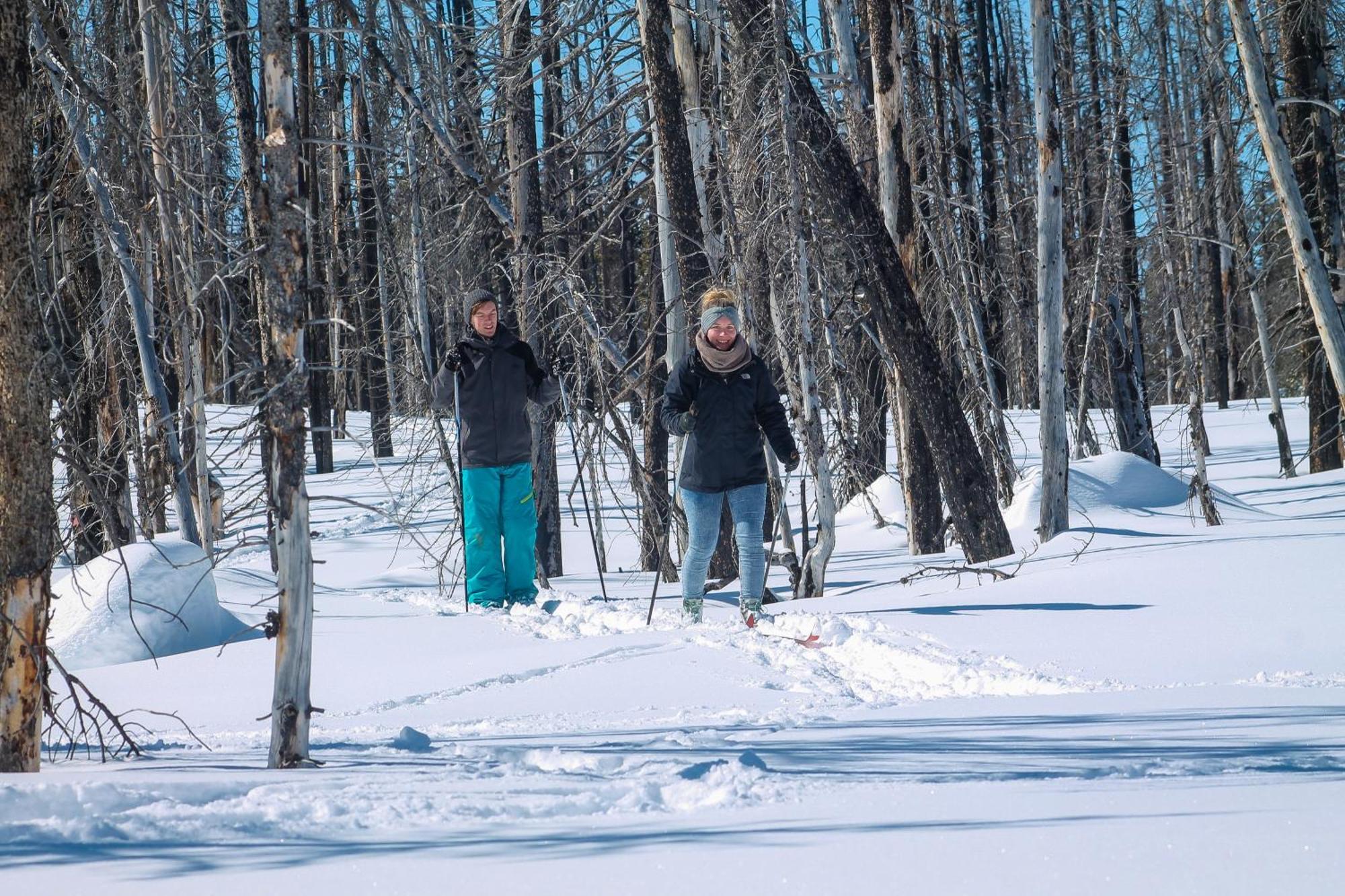 Red Cariboo Resort Anahim Lake エクステリア 写真